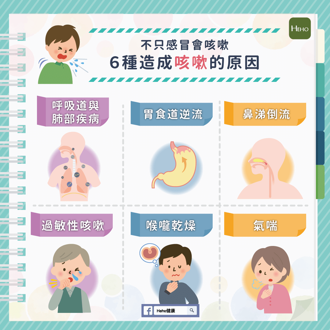 6 Causes of Coughing. (Image / Courtesy of Heho Health)